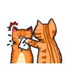 MeowX4（個別スタンプ：40）