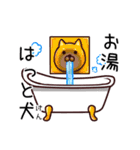 家事を強要する犬（個別スタンプ：22）