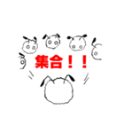 もこ太（個別スタンプ：33）