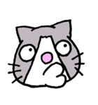 Evil Cat Records（個別スタンプ：1）