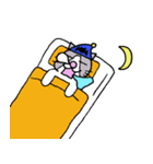 Evil Cat Records（個別スタンプ：19）