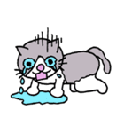 Evil Cat Records（個別スタンプ：31）