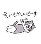Evil Cat Records（個別スタンプ：34）