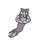 Evil Cat Records（個別スタンプ：35）