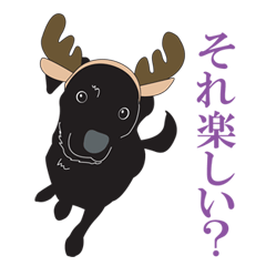 [LINEスタンプ] 藤代さんちのやんちゃ犬アポロ