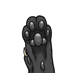 [LINEスタンプ] 猫の手も借りたい肉球スタンプ 黒猫編