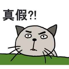 [LINEスタンプ] Sonca Cat on a trip
