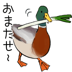[LINEスタンプ] 日本の野鳥～冬鳥～の画像（メイン）