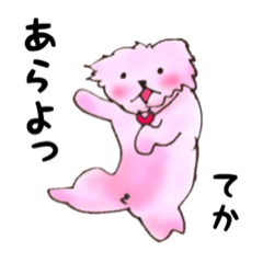 [LINEスタンプ] マルチーズ〜まわたん〜