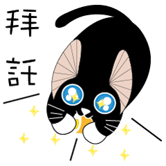 [LINEスタンプ] Kite Cat