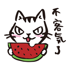 [LINEスタンプ] Nekomaru's wonderful life