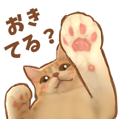 [LINEスタンプ] 日常6にゃんずスタンプ