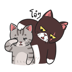 [LINEスタンプ] Kao homeless cat