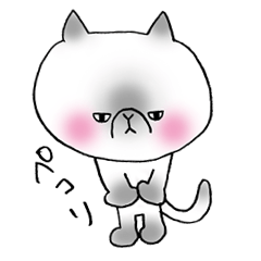 [LINEスタンプ] エキゾチックショートヘアのねこおvol.2