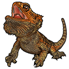 [LINEスタンプ] Pogona