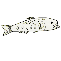 [LINEスタンプ] 川の魚たち