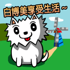 [LINEスタンプ] White Pomeranian enjoy life