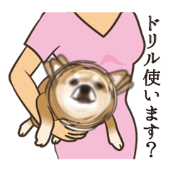 [LINEスタンプ] わんこ10割