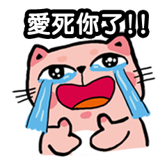 [LINEスタンプ] Pinky Lovely Kitty 9 (only pictures)