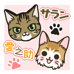 [LINEスタンプ] 使える☆猫のサランと愛之助