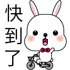 [LINEスタンプ] Lovely Blossom Rabbit