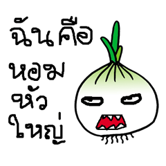 [LINEスタンプ] Crazy onion