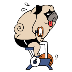 [LINEスタンプ] Pug's Gym