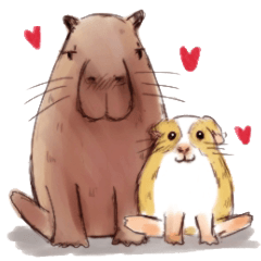 [LINEスタンプ] Capybara and Guinea pigs