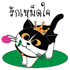 [LINEスタンプ] Southern-Thai Cat