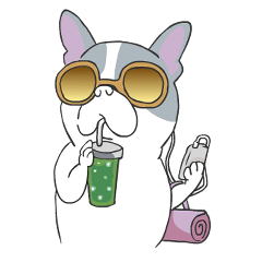 [LINEスタンプ] Yogi French Bulldog