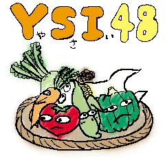 YSI 48