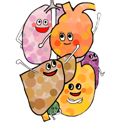[LINEスタンプ] cute Organ 