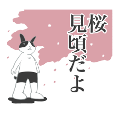 [LINEスタンプ] ほぼほぼ使えるウサギの日常スタンプ 
