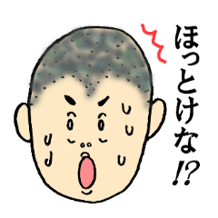 [LINEスタンプ] 飛騨弁スタンプ（顔、文字大きめ） 