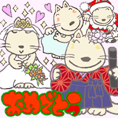 [LINEスタンプ] ひろてネコ おめでとうおめでとう