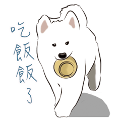 [LINEスタンプ] Cute Dog Samoyed