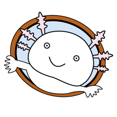 [LINEスタンプ] ウーパールーパーのうぱぱちゃん