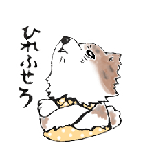 [LINEスタンプ] 秋田犬のぎくの高飛車スタンプ