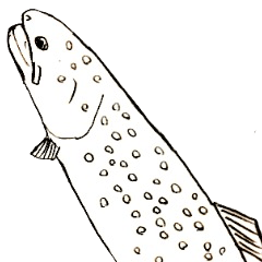 [LINEスタンプ] 川の魚たち2