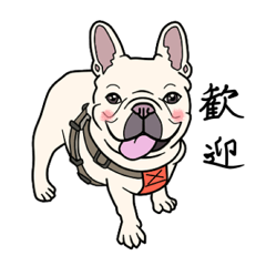[LINEスタンプ] French bulldog  Chinese  Sticker