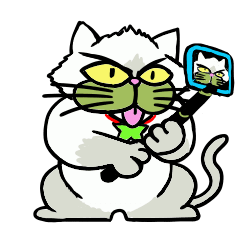[LINEスタンプ] 京都弁猫1 ～”小次郎”デビュ－～の画像（メイン）