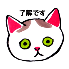 [LINEスタンプ] 猫スタンプしろさん