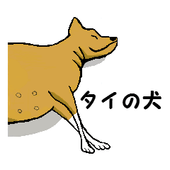 [LINEスタンプ] タイの犬(日本語)