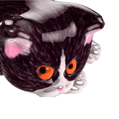 [LINEスタンプ] Shiny cat Koume