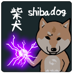 [LINEスタンプ] 日本語を操る柴犬