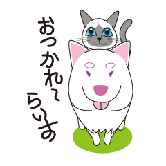 [LINEスタンプ] ヤマとちゅーちゃん(yama＆chuchan)