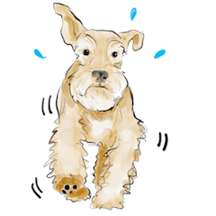 [LINEスタンプ] Our M.Schnauzers - White
