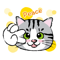 [LINEスタンプ] 野良猫ニャン吉の日常会話スタンプVol.1