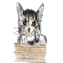 [LINEスタンプ] Cat's Every diary