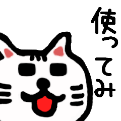 [LINEスタンプ] 白ねこだぞ！